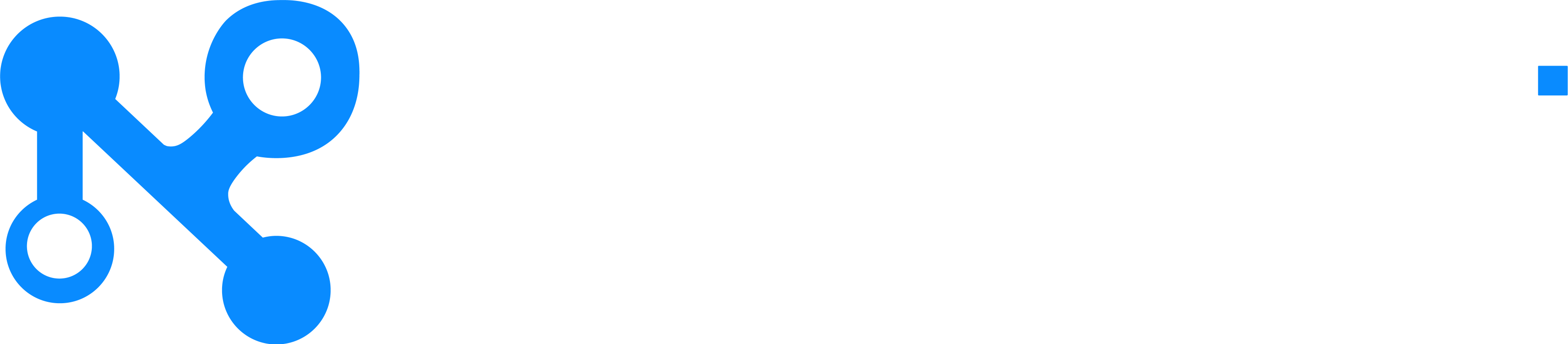 Netkora Logo